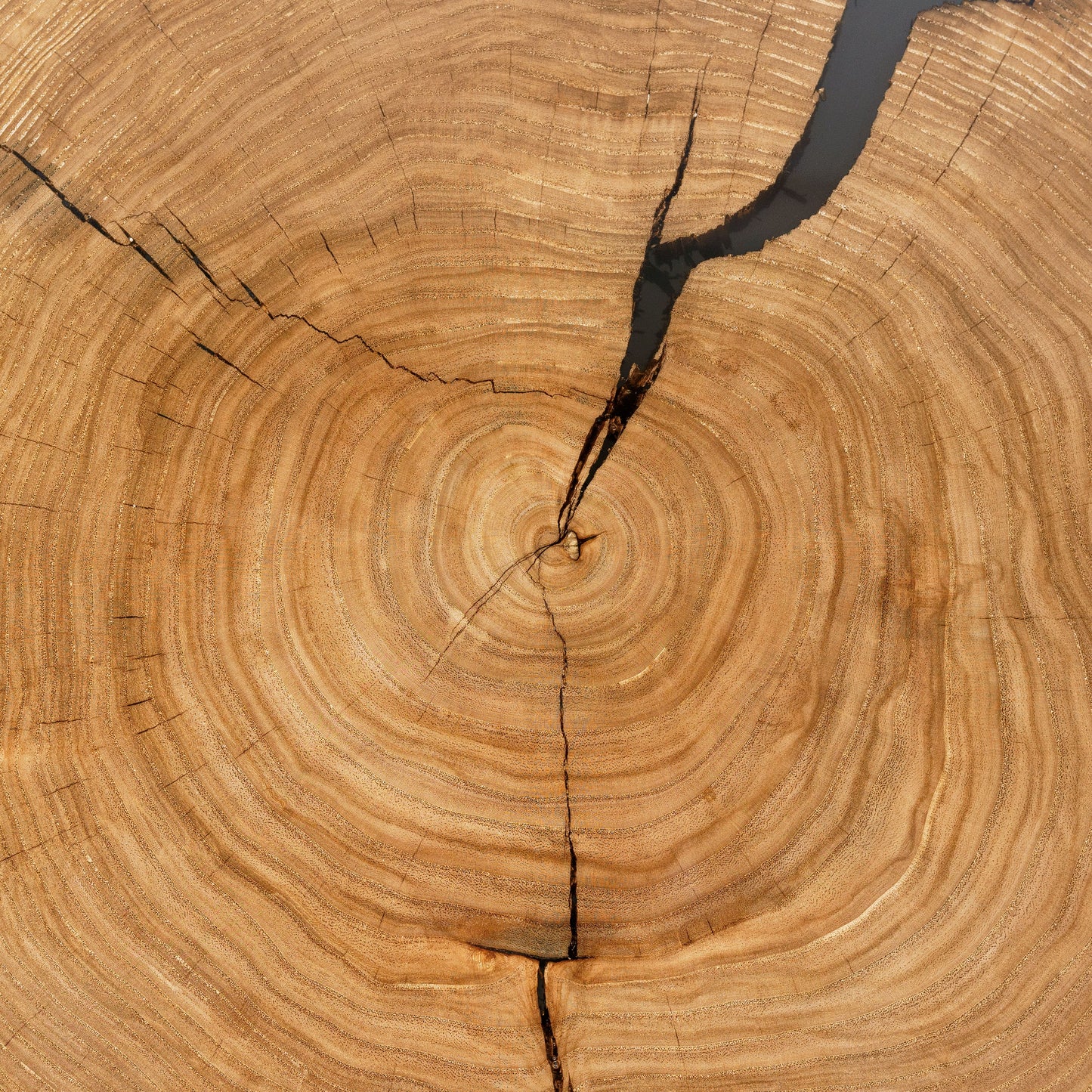 Assam — Holz- und Epoxidharz-Couchtisch
