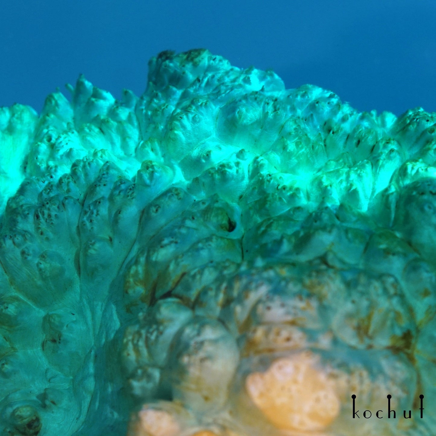 Mauritius — Couchtisch