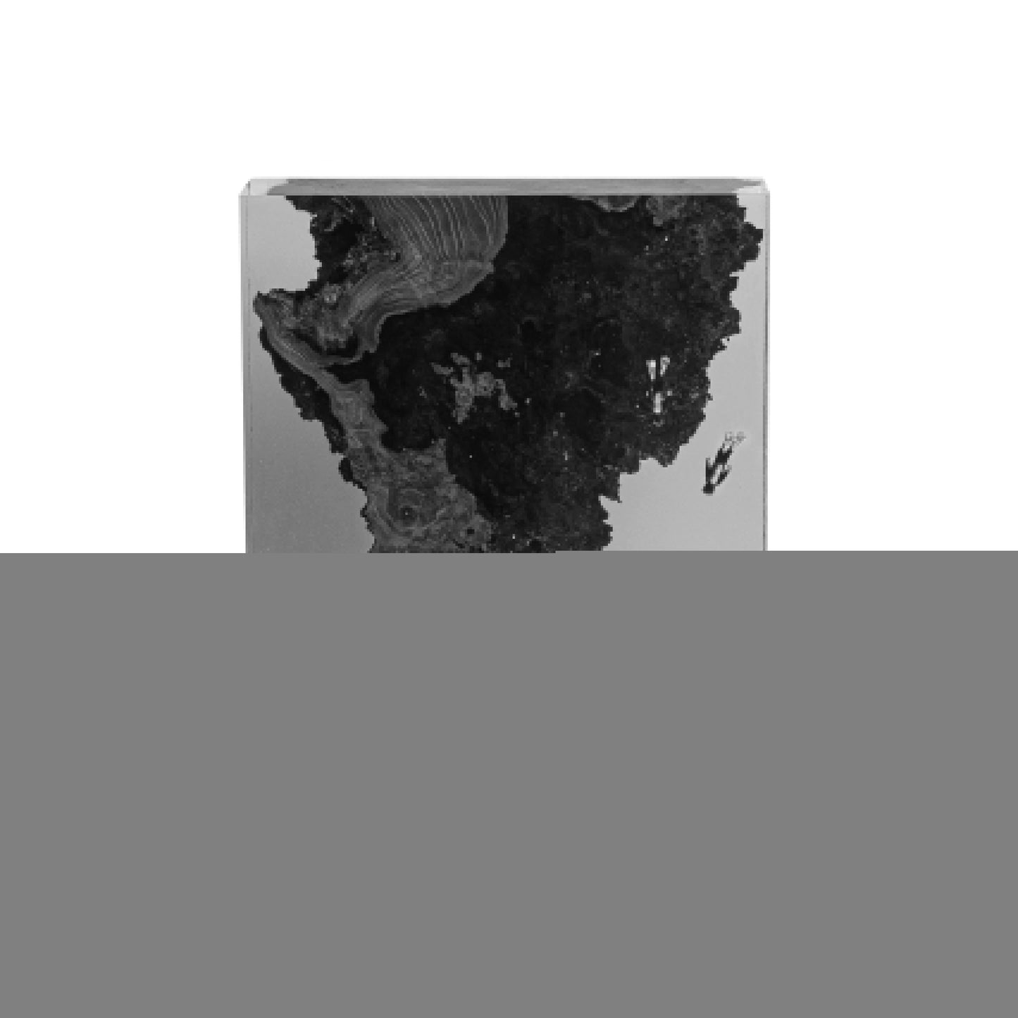 Cousto — Holz- und Epoxidharz-Dekorationslampe